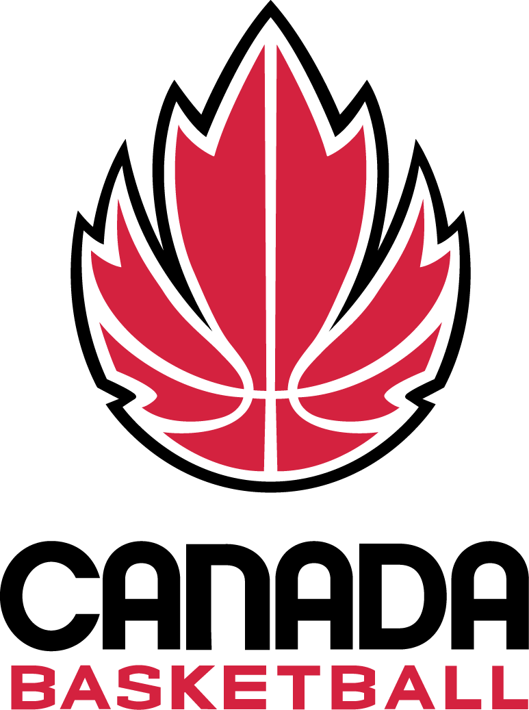 Canada 2013-Pres Primary Logo iron on heat transfer